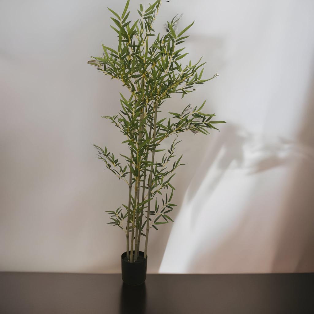 Bambú 150 - Planta